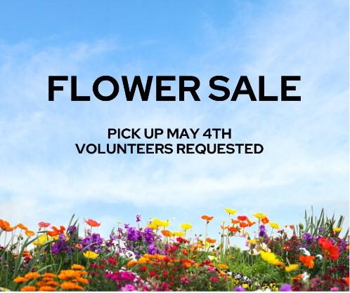 Flower Sale